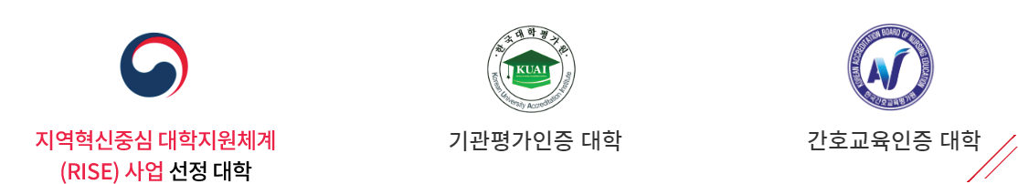 지역혁신중심 대학지원체계(RISE) 사업 선정대학/ 기관평가인증 대학/간호교육인증 대학